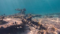 an underwater view of a coral reef and corals